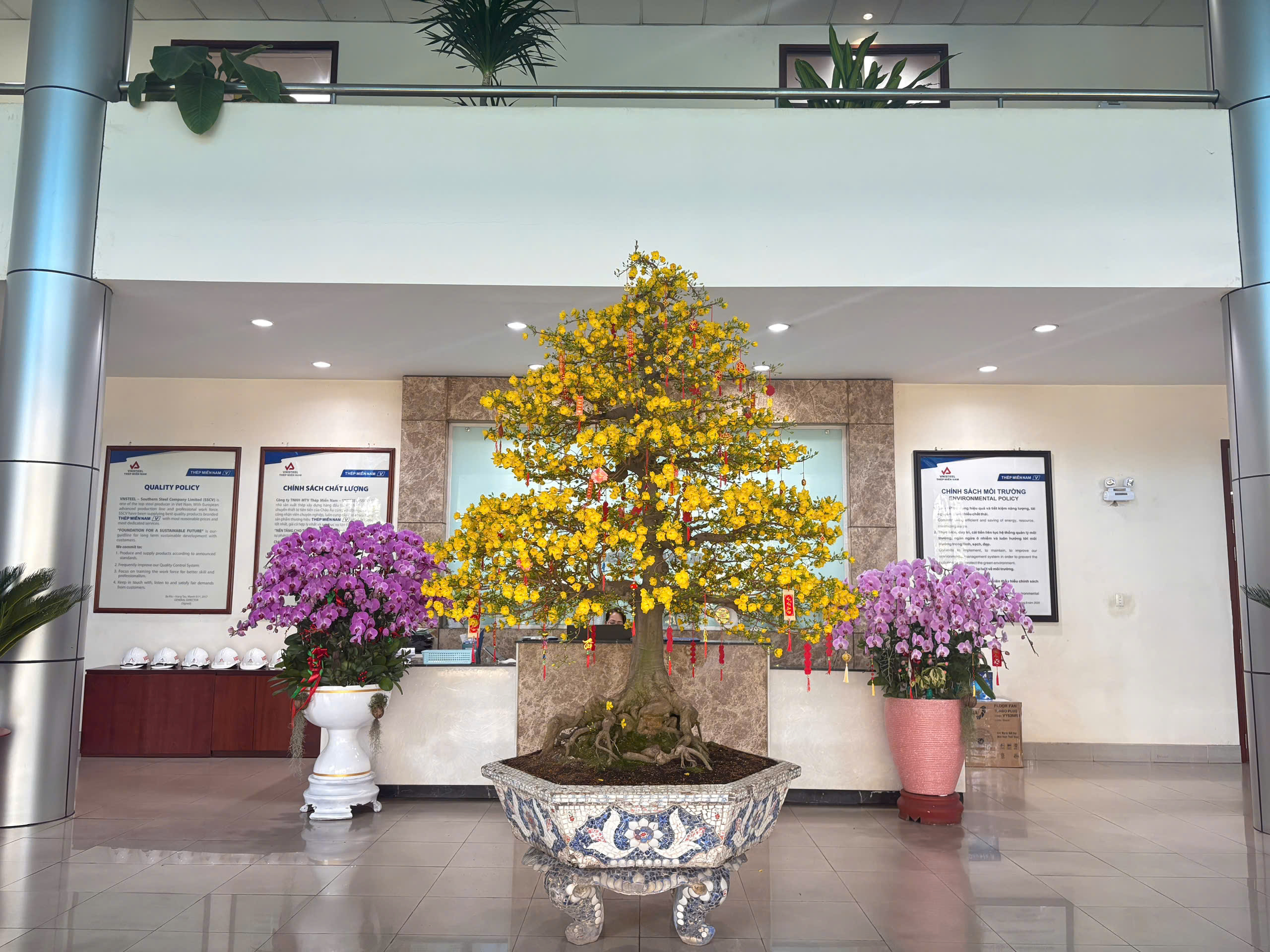 SSCV đón xuân về